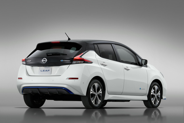 Nissan Leaf bag